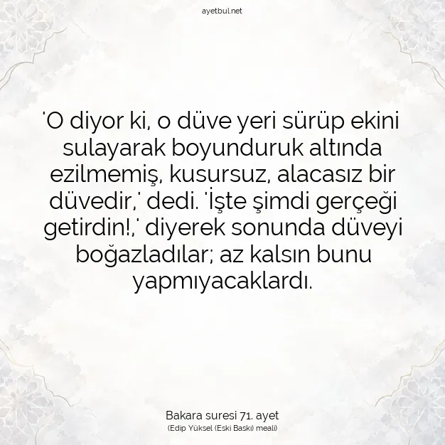 Ayetbul | Kuran Mealleri | Quran | Bakara suresi 71. ayet