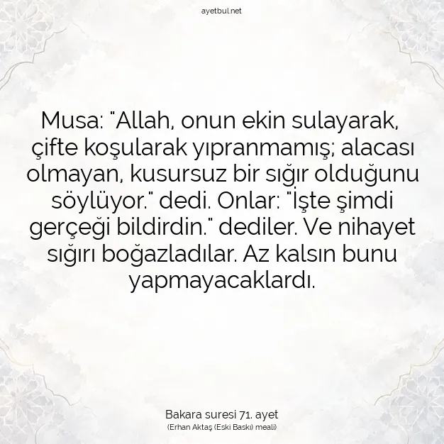 Ayetbul | Kuran Mealleri | Quran | Bakara suresi 71. ayet