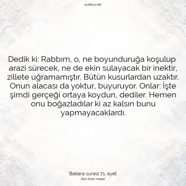 Ayetbul | Kuran Mealleri | Quran | Bakara suresi 71. ayet