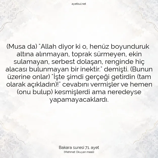 Ayetbul | Kuran Mealleri | Quran | Bakara suresi 71. ayet