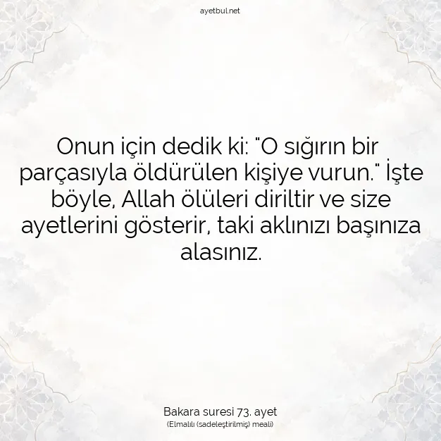 Ayetbul | Kuran Mealleri | Quran | Bakara suresi 73. ayet