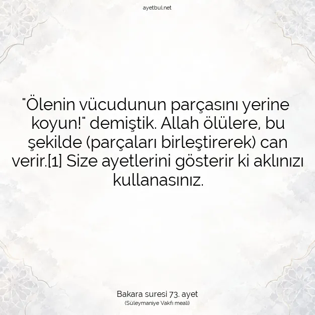 Ayetbul | Kuran Mealleri | Quran | Bakara suresi 73. ayet