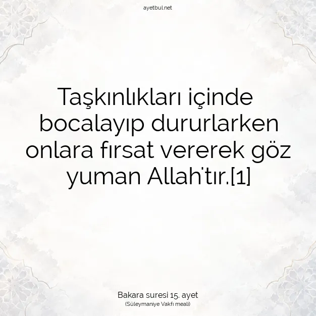 Ayetbul | Kuran Mealleri | Quran | Bakara suresi 15. ayet
