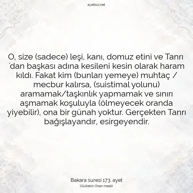 Ayetbul | Kuran Mealleri | Quran | Bakara suresi 173. ayet
