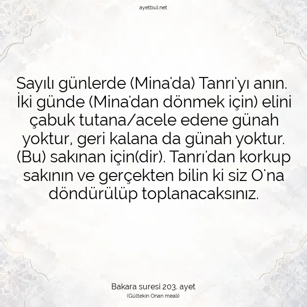 Ayetbul | Kuran Mealleri | Quran | Bakara suresi 203. ayet