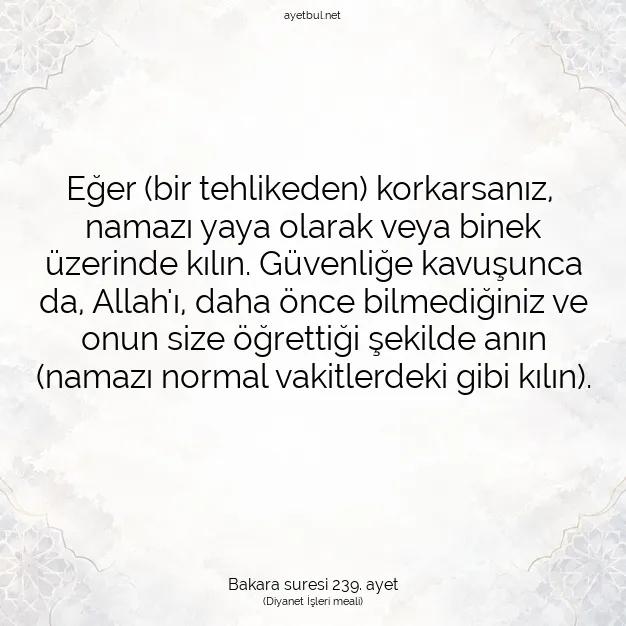 Ayetbul | Kuran Mealleri | Quran | Bakara suresi 239. ayet