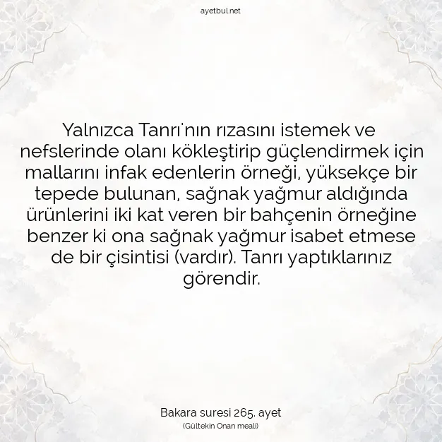 Ayetbul | Kuran Mealleri | Quran | Bakara suresi 265. ayet