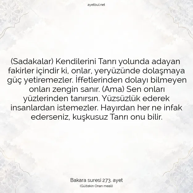 Ayetbul | Kuran Mealleri | Quran | Bakara suresi 273. ayet