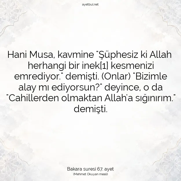 Ayetbul | Kuran Mealleri | Quran | Bakara suresi 67. ayet