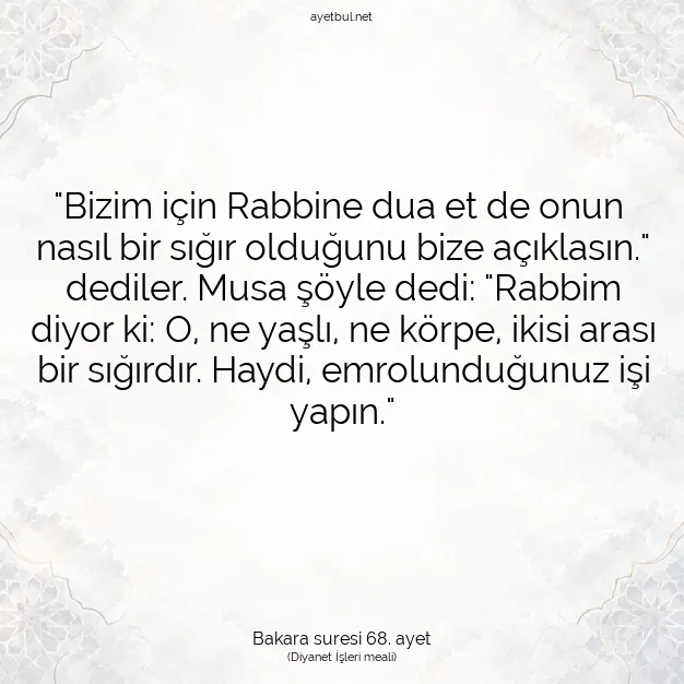 Ayetbul | Kuran Mealleri | Quran | Bakara suresi 68. ayet