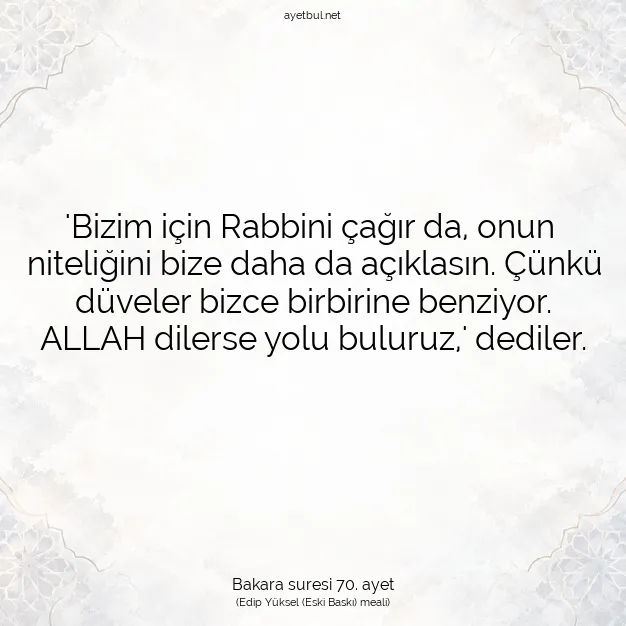 Ayetbul | Kuran Mealleri | Quran | Bakara suresi 70. ayet
