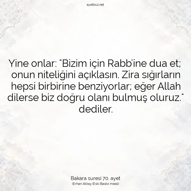 Ayetbul | Kuran Mealleri | Quran | Bakara suresi 70. ayet