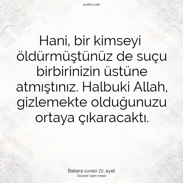 Ayetbul | Kuran Mealleri | Quran | Bakara suresi 72. ayet