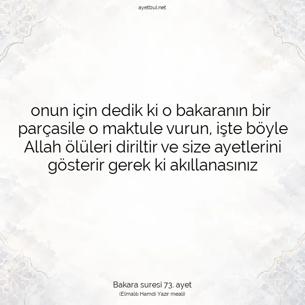 Ayetbul | Kuran Mealleri | Quran | Bakara suresi 73. ayet