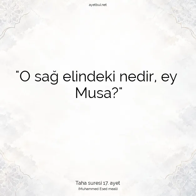 Ayetbul | Kuran Mealleri | Quran | Taha suresi 17. ayet