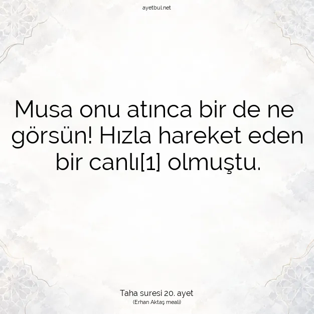 Ayetbul | Kuran Mealleri | Quran | Taha suresi 20. ayet