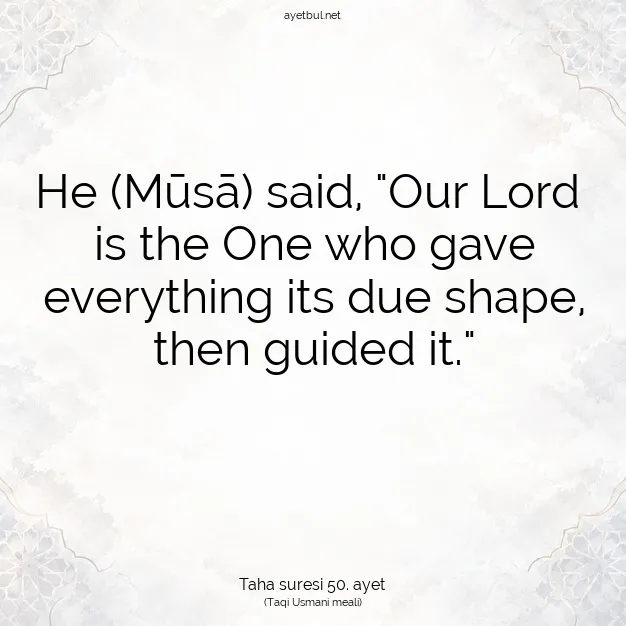 Ayetbul | Kuran Mealleri | Quran | Taha suresi 50. ayet