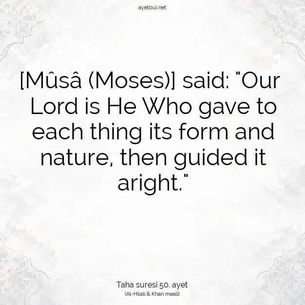 Ayetbul | Kuran Mealleri | Quran | Taha suresi 50. ayet