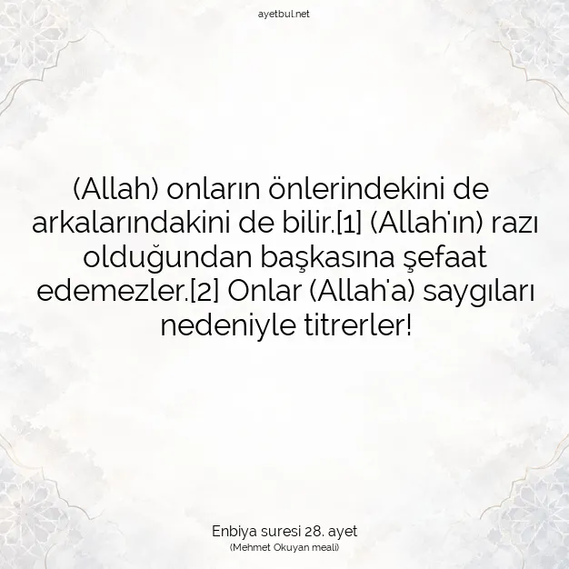 Ayetbul | Kuran Mealleri | Quran | Enbiya suresi 28. ayet