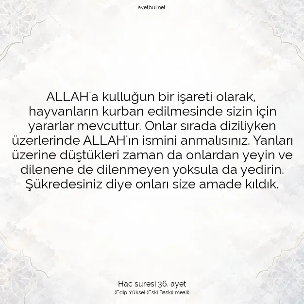 Ayetbul | Kuran Mealleri | Quran | Hac suresi 36. ayet