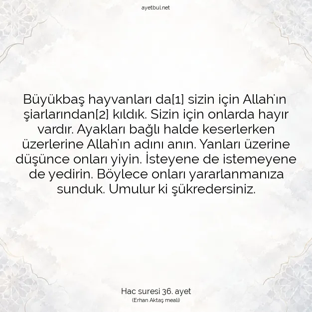 Ayetbul | Kuran Mealleri | Quran | Hac suresi 36. ayet