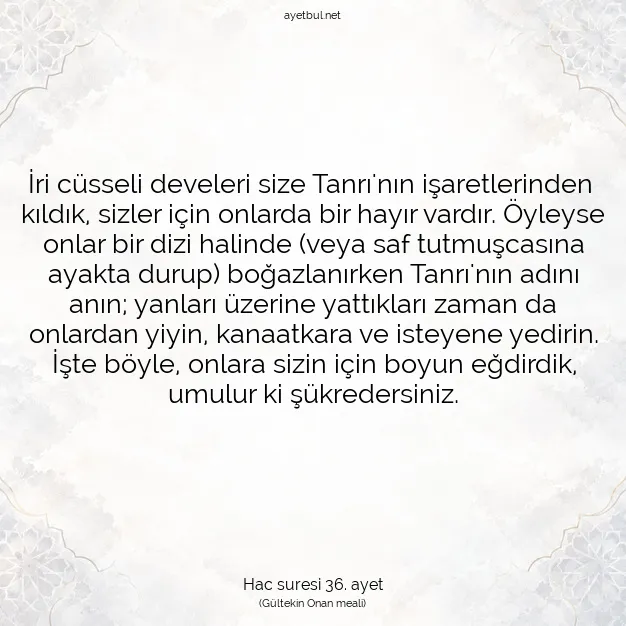 Ayetbul | Kuran Mealleri | Quran | Hac suresi 36. ayet