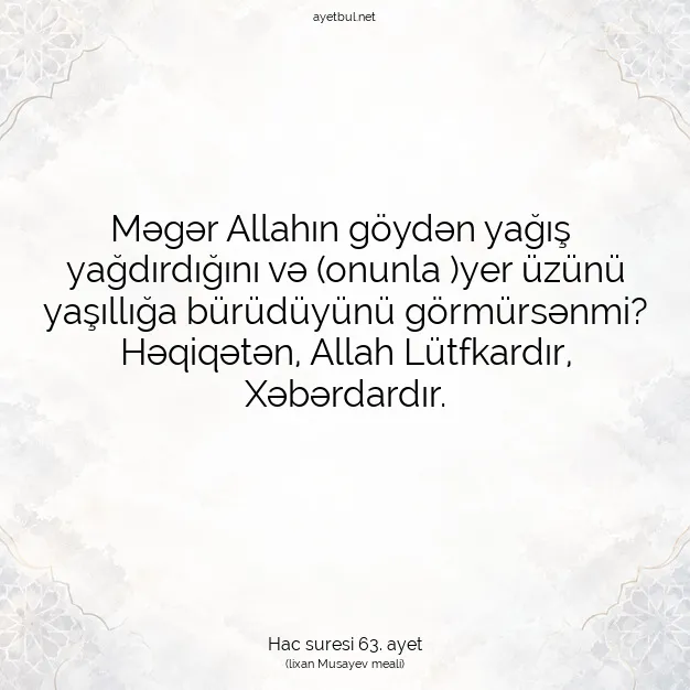 Ayetbul | Kuran Mealleri | Quran | Hac suresi 63. ayet