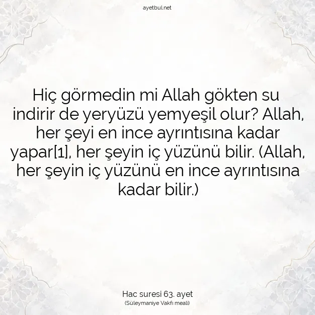 Ayetbul | Kuran Mealleri | Quran | Hac suresi 63. ayet