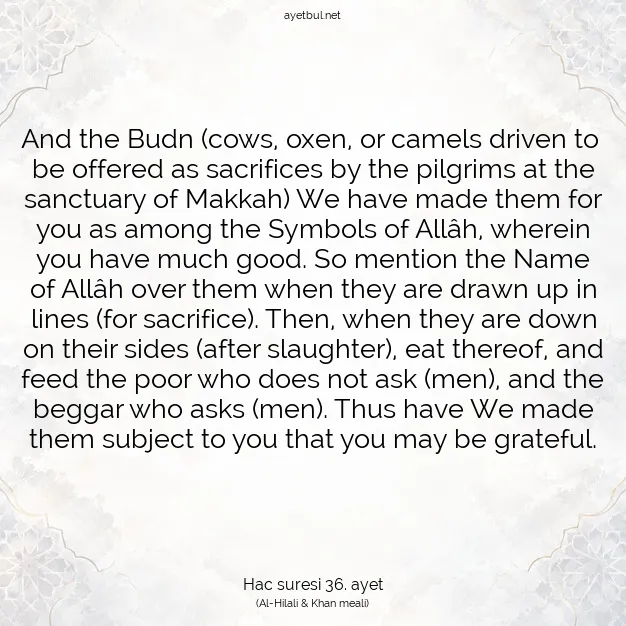 Ayetbul | Kuran Mealleri | Quran | Hac suresi 36. ayet