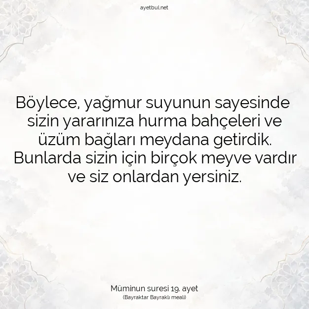 Ayetbul | Kuran Mealleri | Quran | Müminun suresi 19. ayet