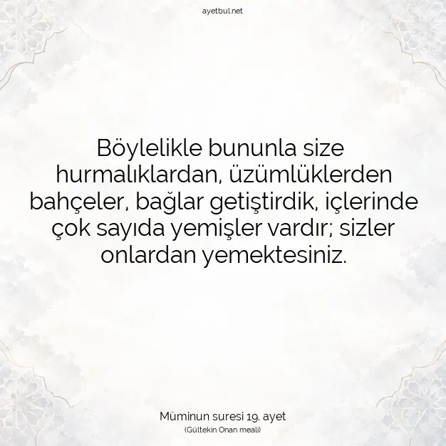 Ayetbul | Kuran Mealleri | Quran | Müminun suresi 19. ayet