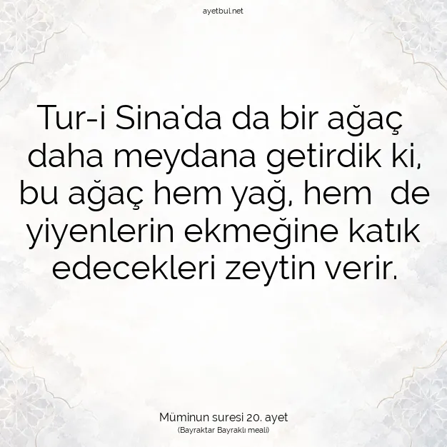 Ayetbul | Kuran Mealleri | Quran | Müminun suresi 20. ayet