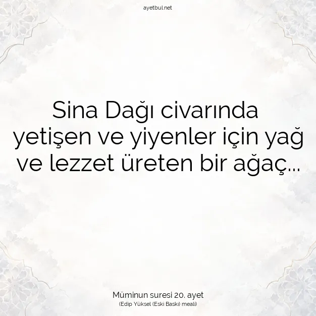 Ayetbul | Kuran Mealleri | Quran | Müminun suresi 20. ayet