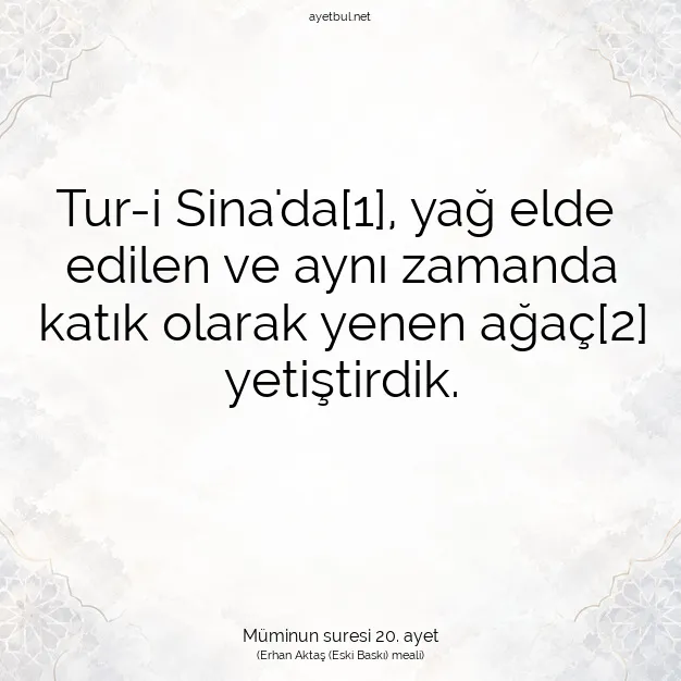 Ayetbul | Kuran Mealleri | Quran | Müminun suresi 20. ayet