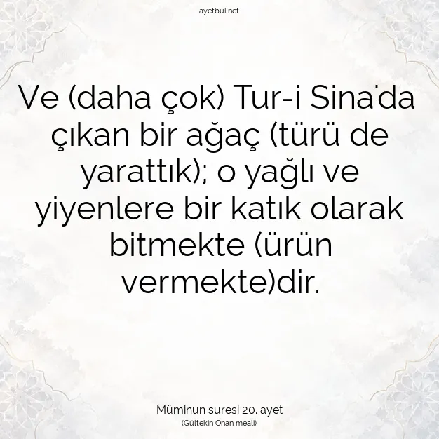 Ayetbul | Kuran Mealleri | Quran | Müminun suresi 20. ayet
