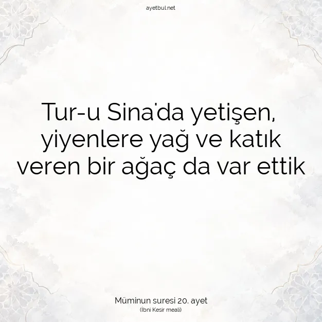 Ayetbul | Kuran Mealleri | Quran | Müminun suresi 20. ayet