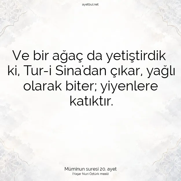 Ayetbul | Kuran Mealleri | Quran | Müminun suresi 20. ayet