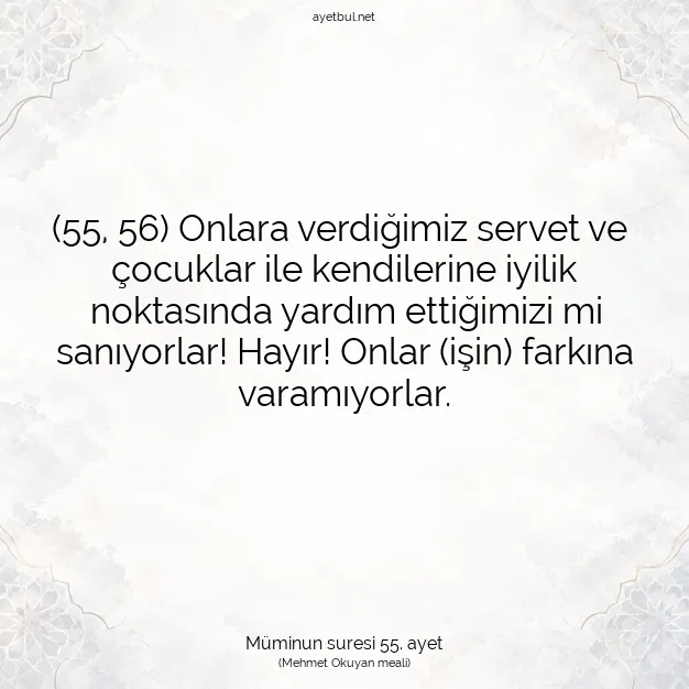Ayetbul | Kuran Mealleri | Quran | Müminun suresi 55. ayet