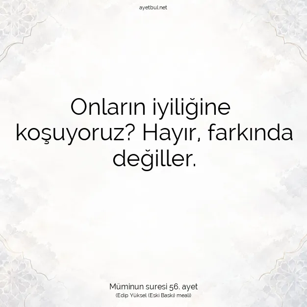 Ayetbul | Kuran Mealleri | Quran | Müminun suresi 56. ayet