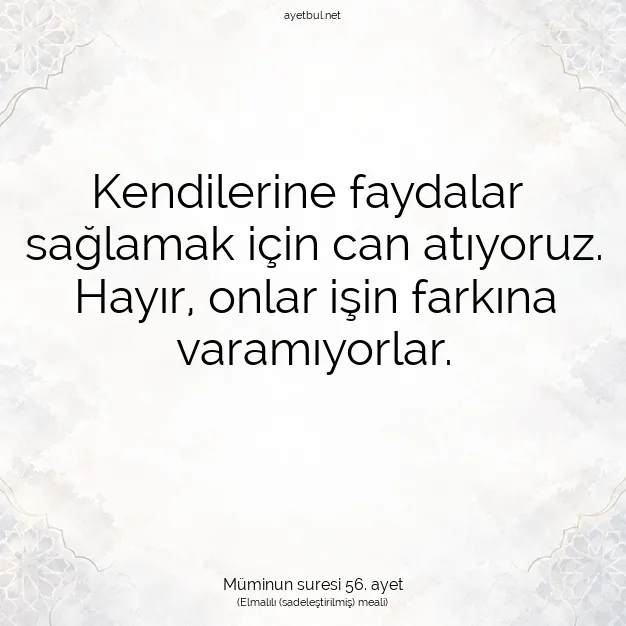 Ayetbul | Kuran Mealleri | Quran | Müminun suresi 56. ayet