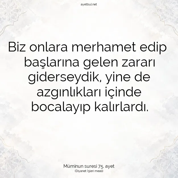 Ayetbul | Kuran Mealleri | Quran | Müminun suresi 75. ayet