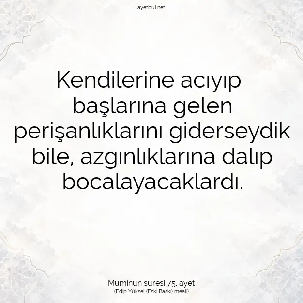 Ayetbul | Kuran Mealleri | Quran | Müminun suresi 75. ayet