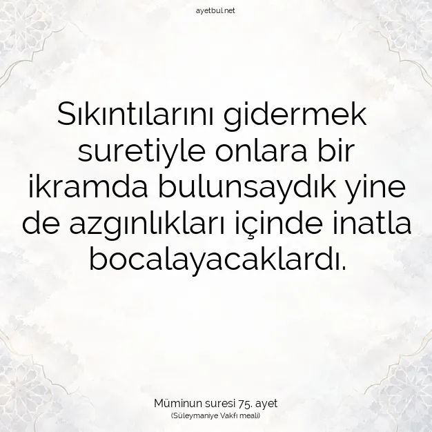 Ayetbul | Kuran Mealleri | Quran | Müminun suresi 75. ayet