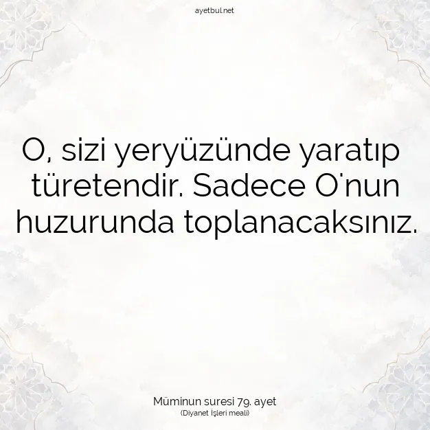 Ayetbul | Kuran Mealleri | Quran | Müminun suresi 79. ayet