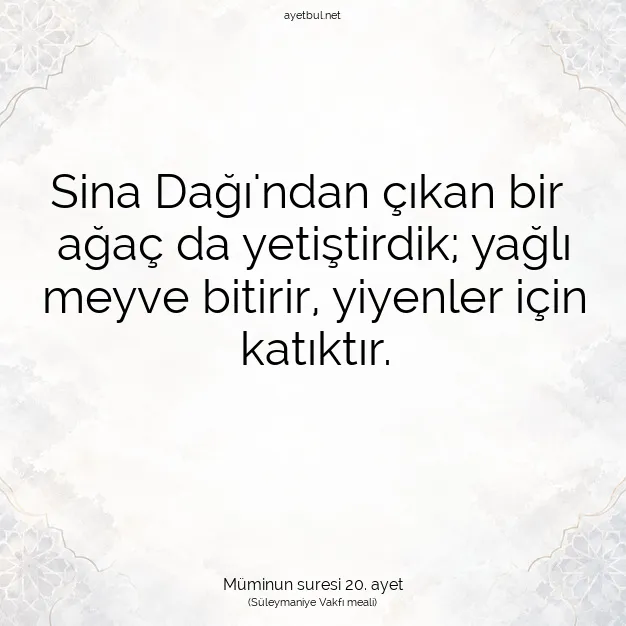 Ayetbul | Kuran Mealleri | Quran | Müminun suresi 20. ayet