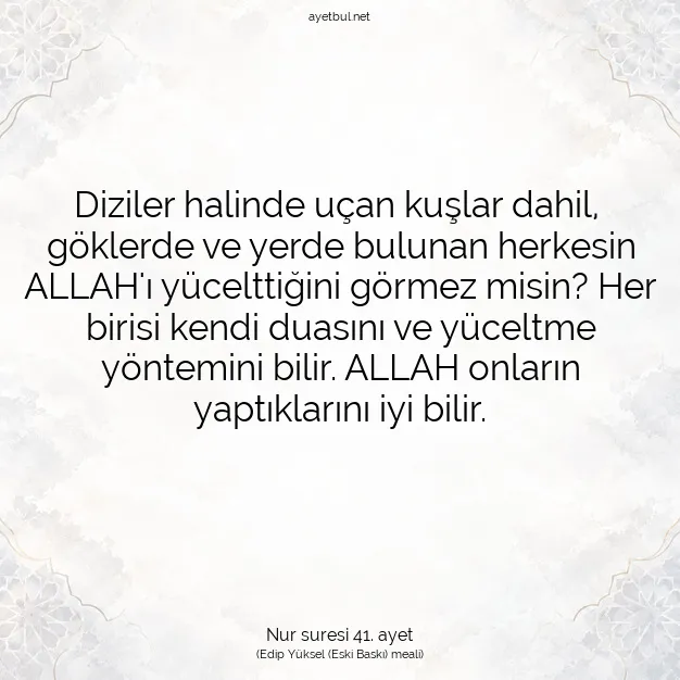 Ayetbul | Kuran Mealleri | Quran | Nur suresi 41. ayet