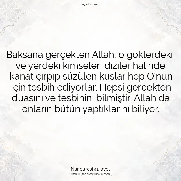 Ayetbul | Kuran Mealleri | Quran | Nur suresi 41. ayet