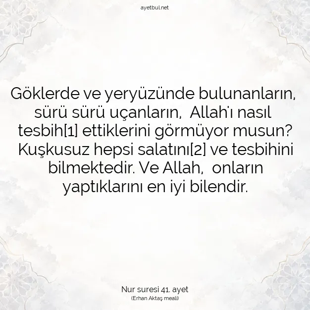 Ayetbul | Kuran Mealleri | Quran | Nur suresi 41. ayet