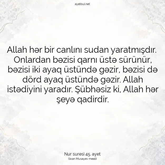 Ayetbul | Kuran Mealleri | Quran | Nur suresi 45. ayet