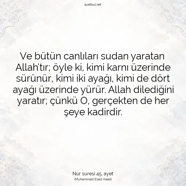 Ayetbul | Kuran Mealleri | Quran | Nur suresi 45. ayet